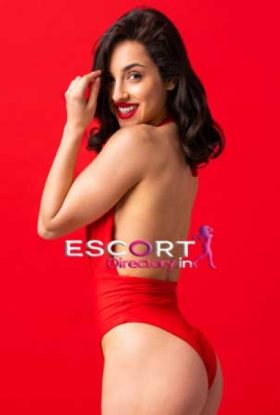 Payal Amritsar escorts