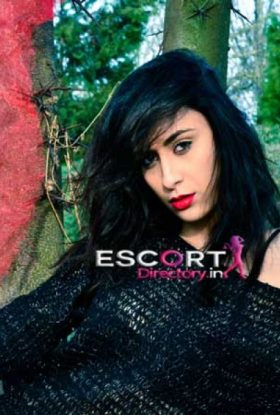 Kripa VIP Paharganj Escorts